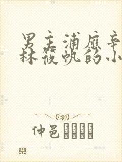 男主浦应辛女主林筱帆的小说