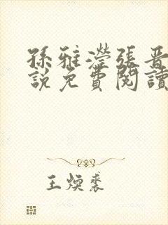 孙雅滢张晋的小说免费阅读无弹窗封面