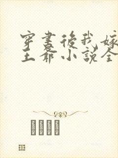 穿书后我嫁给傻王爷小说全集