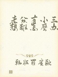 老公有小三我不想离怎么办封面