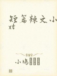 短篇辣文小说txt封面