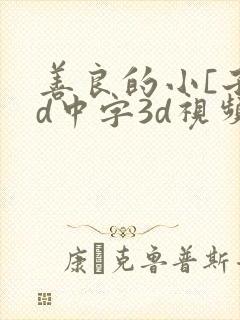 善良的小[子hd中字3d视频封面