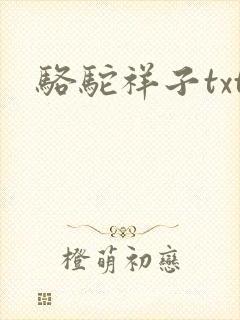 骆驼祥子txt