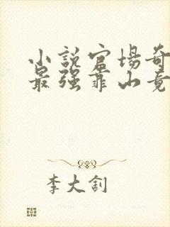 小说官场奇才:最强靠山竟是我自己李霖在