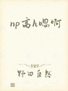 np高h嗯啊封面