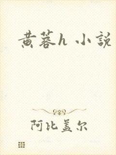 黄蓉h 小说封面