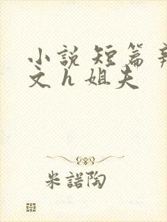 小说 短篇 辣文 h 姐夫