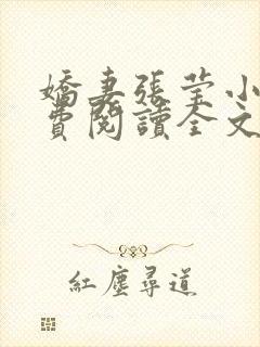 娇妻张莹小说免费阅读全文封面