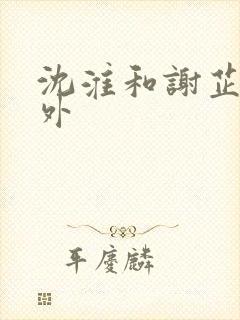 沈淮和谢芷的番外