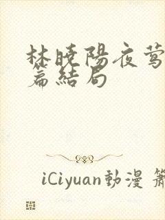 林晓阳夜莺番外篇结局