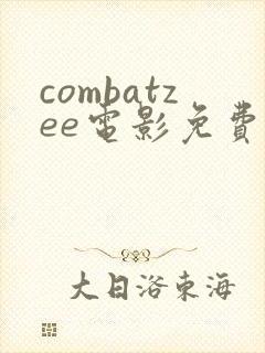 combatzee电影免费观看