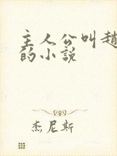 主人公叫赵启明的小说封面