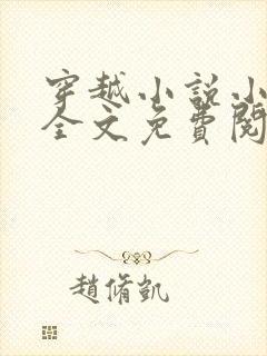 穿越小说小阁老全文免费阅读