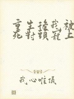 重生后我被渣男死对头宠上天.