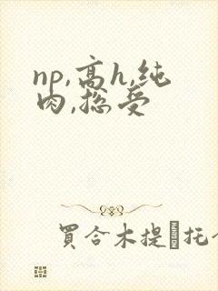 np,高h,纯肉,总受