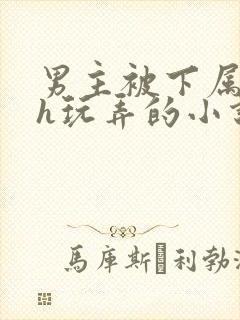 男主被下属调教h玩弄的小说