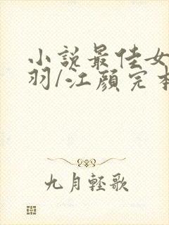 小说最佳女婿林羽/江颜完本