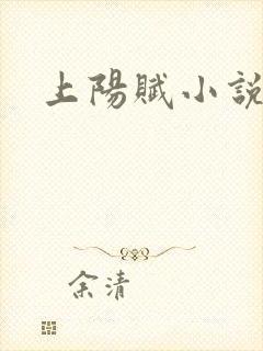 上阳赋小说