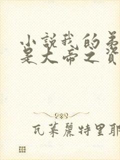 小说我的弟子全是大帝之资完本免费阅读封面