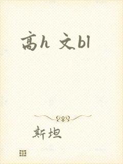 高h 文bl