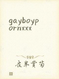 gayboypornxxx