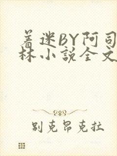 着迷BY阿司匹林小说全文免费阅读