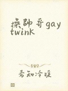 操帅哥gay twink封面
