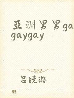 亚洲男男gaygaygay封面