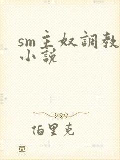sm主奴调教文小说封面
