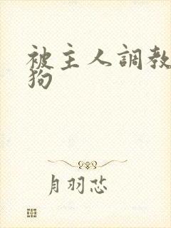 被主人调教成母狗