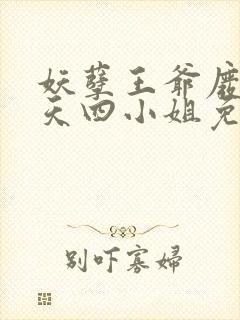 妖孽王爷废材逆天四小姐免费阅读
