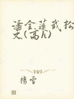 潘金莲武松肉辣文(高h)