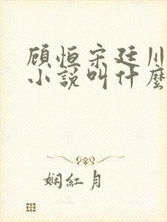 顾恒宋廷川林嘉小说叫什么名字啊