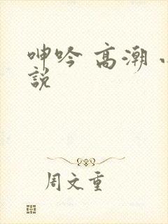 呻吟 高潮 小说