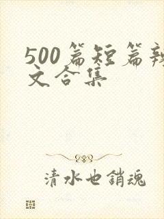 500篇短篇辣文合集