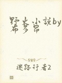 野火小说by夏布多昂封面