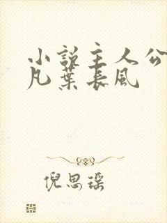 小说主人公叫叶凡叶长风