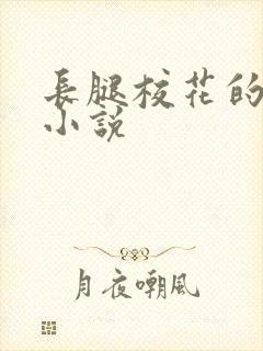 长腿校花的呻吟小说