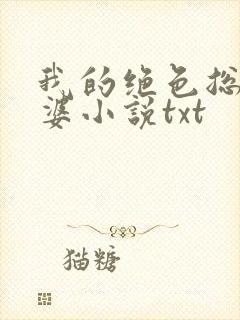 我的绝色总裁老婆小说txt