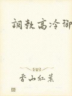 调教高冷御姐