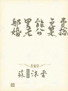 那里能免费看闪婚老公是总裁短剧