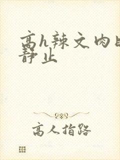 高h辣文肉时间静止