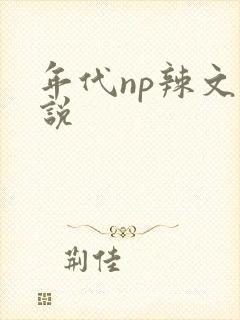 年代np辣文小说封面