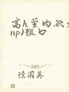 高h荤肉欲文(np)粗口