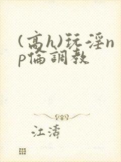 (高h)玩淫np伦调教封面
