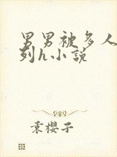 男男被多人伦系列h小说
