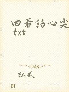 四爷的心尖宠妃 txt