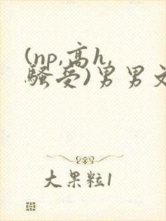 (np,高h,骚受)男男文封面