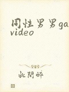 同性男男gayvideo