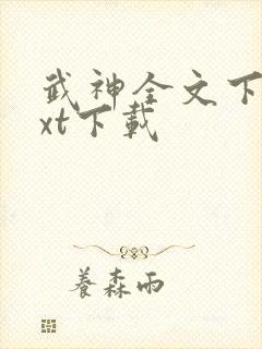 武神全文下载txt下载封面